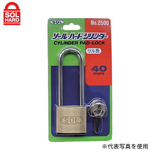 y[ցzSOL HARD(\n[h) 싞 #2500VP-45 V_[ c45mm (pbN) 09313323 [bJ[ Jo ] ۊǔ H Ԏ~|[]