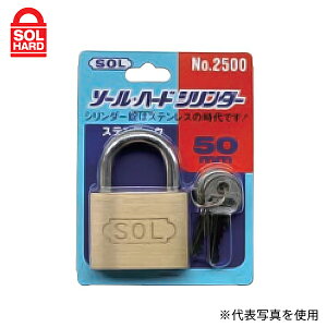 y[ցzSOL HARD(\n[h) 싞 #2500VP-35 XebN35mm (pbN) 09313703 [bJ[ Jo ] ۊǔ H Ԏ~|[]