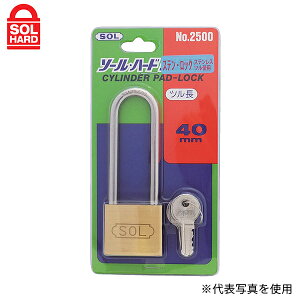 y[ցzSOL HARD(\n[h) 싞 #2500VP-30 XebN c30mm (pbN) 09313639 [bJ[ Jo ] ۊǔ H Ԏ~|[]