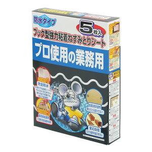 S˂݂ƂV[ghubN^ 5 4907052749818