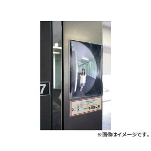 �R�~�[ FF�~���[EVE(�O���g�p) �X�Ίp0�`10�x FVL16A [r20][s9-830]