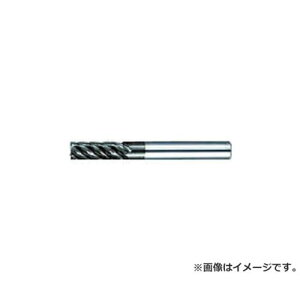 �O�[�����O �}���`���[�hRF100SF ���\���d�グ�p6���n�a10mm 3631010 [r20][s9-830]