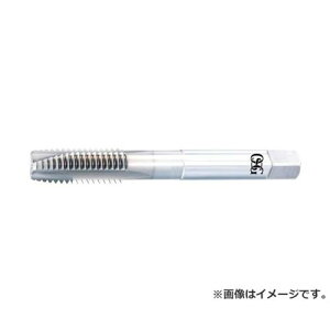 OSG WHR-NI-POT WHRNIPOTSTDM5X0.8 [r20][s9-010]