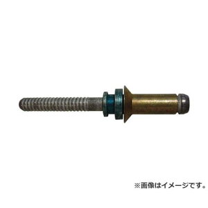 Cherry Maxibolt (R) 100°FLUSH HEAD/NO CR7310S0605 ×100�Z�b�g [r20][s9-833]