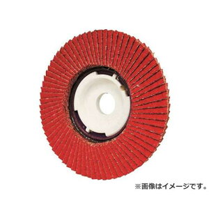 iZ SGjTOP 100mm Z~bN#80 SGTOPS5 ×10Zbg [r20][s9-020]