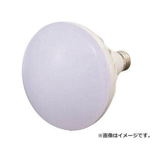 TRUSCO LED������p 20W LED�� RTL20W [r20][s9-830]