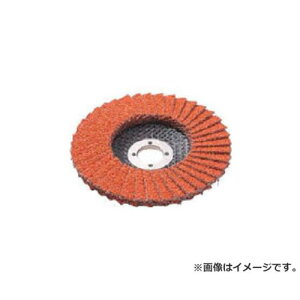 AC X[p[Z~bNfBXN 100X15(16) #40 SPCD1001540 ×10Zbg [r20][s9-020]