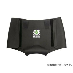 �o�C�I���o�[ RSM E400 �E�F�A �^�C�v11 �p���c 4L RSMW11P7 [r20][s9-034]