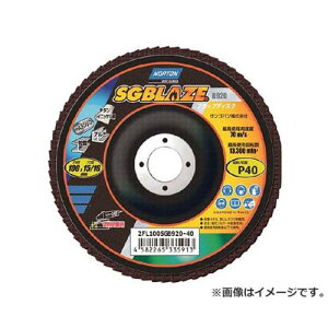 NORTON SGuCY920 tbvfBXN 40# 2FL100SGB92040 ×10Zbg [r20][s9-830]