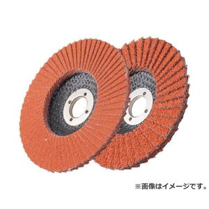 AC X[p[Z~bNfBXN 100X15(16) #60 SPCD1001560 ×10Zbg [r20][s9-020]