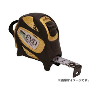 �_�u���W�[EV�O25��5.5m�܂��� GGEVO2555S [r20][s9-010]