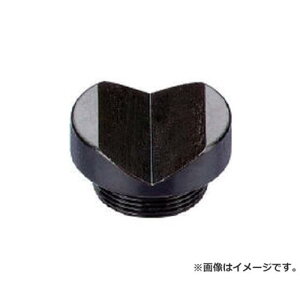 TRUSCO Gz}Nv Vpbh SCV[Yp SCVP [r20][s9-010]