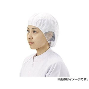 �V���K�[ �d�ΖXSR-1 M(20����) SR1M 20���� [r20][s9-830]