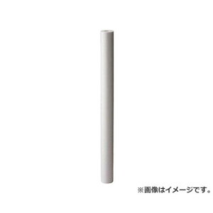 AION �J�l�t�B�[��FD 750mm ���̐��x1��m FD001T [r20][s9-010]