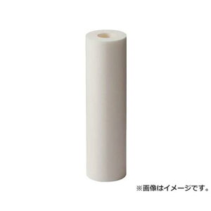 AION JltB[R 250mm ̐x200m (2{^pbN) R2850 2{ [r20][s9-010]