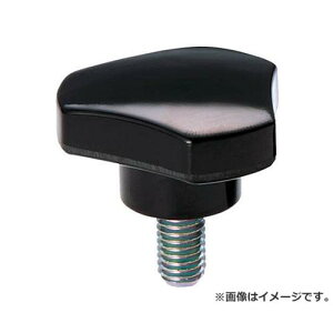 TRUSCO �X���[���u�m�u�{���g ��31 M6X30 TKB2M6X30 [r20][s9-010]