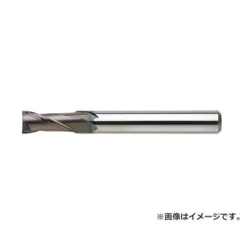 NS 無限リード30EM 2枚刃 MX230 Φ0.6 MX2300.6 [r20][s9-010]