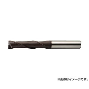 �O�H MSTAR���d�G���h�~�� MS2LS �ėp 2���n(�����O�n��) ��0.9 MS2LSD0090 [r20][s9-010]