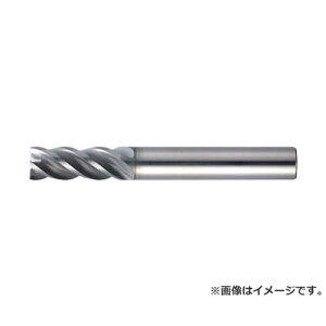 MOLDINO �G�|�b�NSUS�}���`EPSM4090-PN EPSM4090PN [EPSM4090-PN][r20][s9-830]