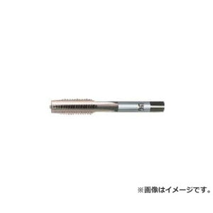 OSG �^�b�v EXOST2STD1M8X1.25 [r20][s9-010]