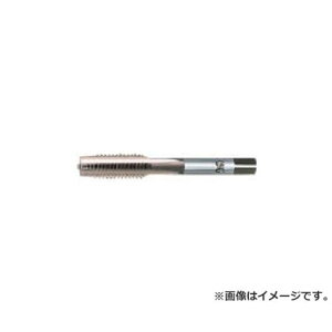 OSG �^�b�v EXOST3STD2M3X0.5 [r20][s9-010]