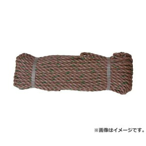 ^J [v PPgbN[v(OB) 9×20 TRP2 [r20][s9-010]