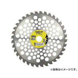 gL O[o\[ XSM @p GSC25540 [r20][s9-010]