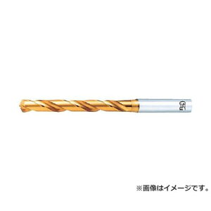 OSG EX�S�[���h�h���� ��ʉ��H�p���M���� EXGDR31.0 [r20][s9-032]