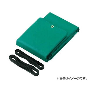 TRUSCO �g���b�N�V�[�g�� 2t�����O ��3000mmX����4.7m �� TS2TAL (GN) [r20][s9-031]