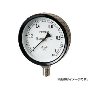 �E�� �X�e�����X���͌v G2111611.6MP [r20][s9-020]