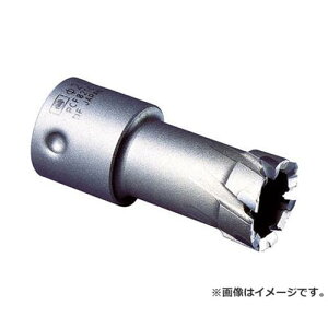 �~���i�K �[���z�[���\�[�^�|���J�b�^�[��55 PCF055C [r20][s9-020]