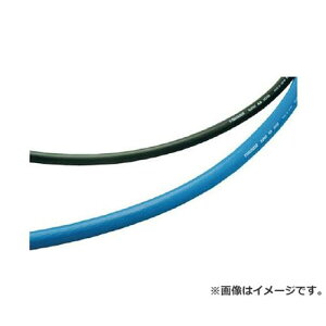 \Y(TOGAWA) X[p[GA[z[X SA25 [r21][s9-033]