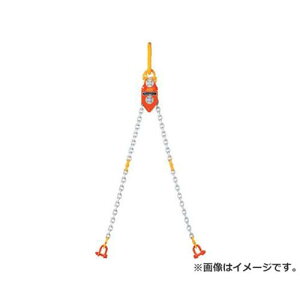 �ۈ� �`�F�[���G�R���C�U�[10ton CE10000 [CE-10000] [r22][s9-039]