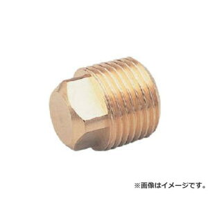 ASOH �l�p�v���O PT1�^2 NP1004 [r20][s9-010]