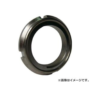EVN �s�^�i�b�g SC M15×1 PNSC02W [r20][s9-010]