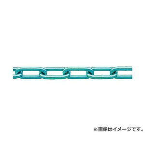 �j�b�T�`�F�C�� �S���j�N���n�ڃ����N�`�F�C�� 6.5mmX30M IW2065 [r20][s9-831]
