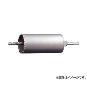 ���j�J ES�R�A�h���� ALC�p100mm SDS�V�����N ESA100SDS [r20][s9-830]
