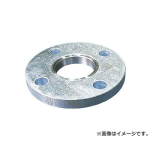 �C�V�O�� �t�����WPL�^SS400 N10SOPF40A [r20][s9-020]