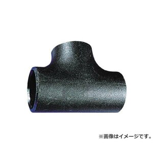 �x���J���@�H �|�ǐ��`�[�Y TSGP65A [r20][s9-010]
