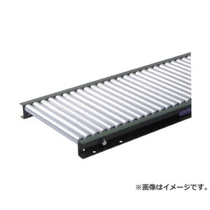 TS�X�`�[�����[���R���x�� ��25.4XW100XP30X1000L LS25100310 [LS25-100310][r22][s9-039]