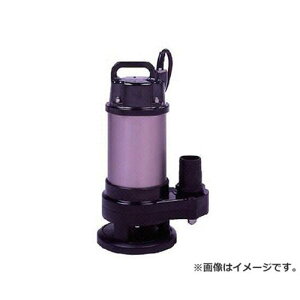 e_|v(c|v) X[p[eN| 񎩓 60Hz CX250 (60Hz) [r21][s9-032]