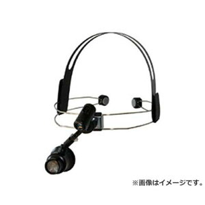 [t C[wbhCgtAC[y WHE100LED [r20][s9-830]
