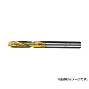 OSG EXS[hh ʉHpX^u 4.5 EXGDS4.5 [r20][s9-010]