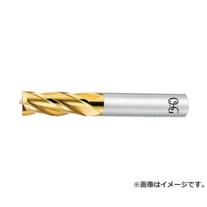 OSG nCXGh~ TIN nV[g 4.5 EXTINEMS4.5 [r20][s9-010]