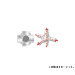 ACR PǗppCvWCg pCvX~ HKT5X [r21][s9-010]