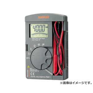 SANWA |Pbg^fW^}`[^ PM11 [r20][s9-020]