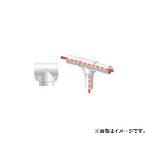 ACR PǗppCvWCg pCvTp HKG2T [r21][s9-010]