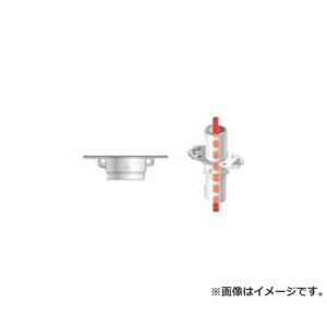 ACR PǗppCvWCg ʎt HKK1B [r21][s9-010]