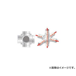 ACR PǗppCvWCg pCvX HKP6X [r21][s9-010]