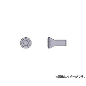 �O�H ���i(�N�����v�˂�) CS250560T [r20][s9-010]